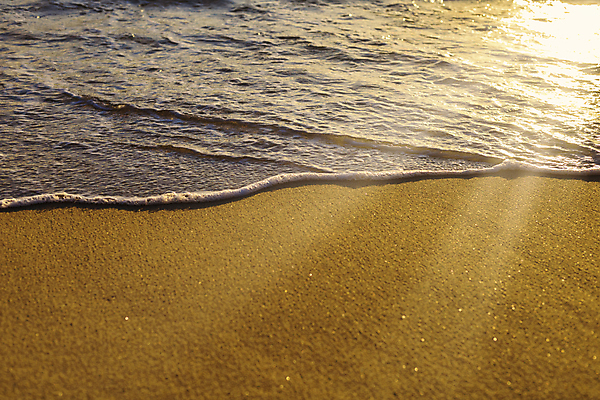 포토 JPG 해외이미지 나무 아시아 모래 파도 바다 섬 여행 우산 교통시설 태국 자연 하늘 휴가 휴식 사람 풍경 사람없음 야외 물 여름 파란색 여행객 수영 보트 이국적 터키석 파라다이스 해외202008 해외포토 자연요소 식물 계절 나라 컬러 교통 컨셉 배_교통 수상스포츠 보석 시설 생태계 파일형식