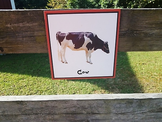 포토 JPG 해외이미지 잔디 사람없음 야외 목재 초록색 울타리 농장 소 사인 해외202008 해외포토 나무 식물 컬러 농업 재료 포유류 담장 파일형식