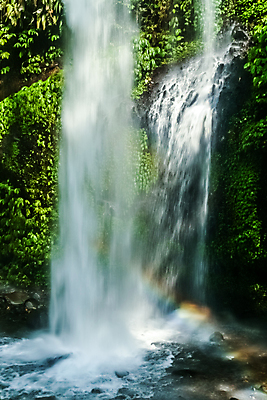 포토 JPG 해외이미지 나무 식물 아시아 여행 백그라운드 잎 자국 자연 이끼 동양인 풍경 사람없음 야외 초록색 물 강 힘 폭포 하이킹 젖음 흐름 가을 흰색 신선 거친 개울 황무지 숲 큼 시원함 열대우림 속도 인도네시아 내추럴 해외202008 해외포토 자연요소 계절 나라 컬러 컨셉 레저 인종 크기 생태계 파일형식