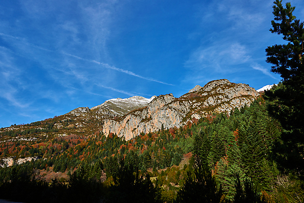 포토 JPG 해외이미지 여행 겨울 휴가 스키 휴식 산 풍경 사람없음 목재 농장 시골 소나무 정상 숲 언덕 만족 눈내림 해외202008 해외포토 나무 계절 감정 컨셉 농업 재료 겨울스포츠 눈_날씨 파일형식