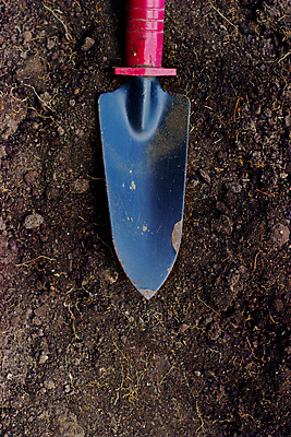 포토 JPG 해외이미지 식물 계절 꽃 지구 백그라운드 컨셉 농업 자연 잔디 취미 사람없음 농장 우주 정원 흙 봄 장비 성장 공구 시골 업무 플랫 정상 모종삽 삽 원예 조경 먼지 위치 땅바닥 땅파기 모종 온실 원예사 철강 해외202008 해외포토 직업 산업 바닥 도구 작업 생태계 파일형식