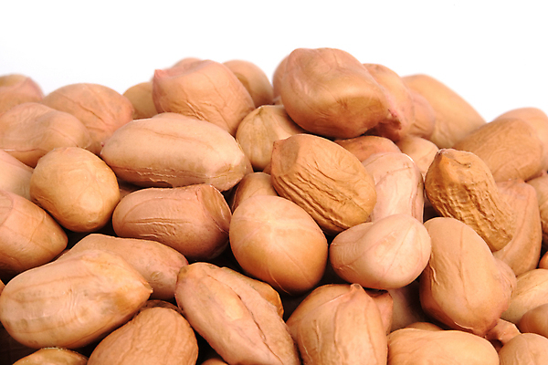 포토 JPG 해외이미지 계절 음식 백그라운드 다이어트 과일 재료 자연 건조 건강 씨앗 사람없음 갈색 노란색 쌓기 견과류 껍질 흰색 그룹 닫기 맛 정상 굽기 먹기 오브젝트 상쾌 유기농 질감 알맹이 날것 땅콩 소금 흙더미 내추럴 고립 단백질 절임 채식주의자 많음 해외202008 해외포토 식물 웰빙 감정 컬러 컨셉 모션 흙 구이 생태계 채식 영양소 파일형식 더미