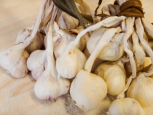 포토 JPG 해외이미지 식물 음식 채소 재료 전구 건강 마늘 사람없음 흰색 신선 양념 조미료 맛 먹기 향신료 유기농 매움 향료 향 내추럴 고립 숙성 해외202008 해외포토 웰빙 컬러 컨셉 모션 향기 냄새 향미료 파일형식