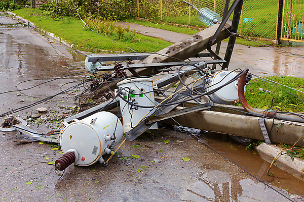 포토 JPG 해외이미지 나무 도로 자연 바람 날씨 거리 사람없음 초록색 여름 손상 가을 흰색 나뭇가지 죽음 떨어짐 숲 장애물 질감 뿌리 폭풍 내추럴 종료 깨짐 마이애미 심각 옛날 플로리다 해외202008 해외포토 자연요소 식물 계절 길 컬러 컨셉 교통시설 미국 생태계 파일형식