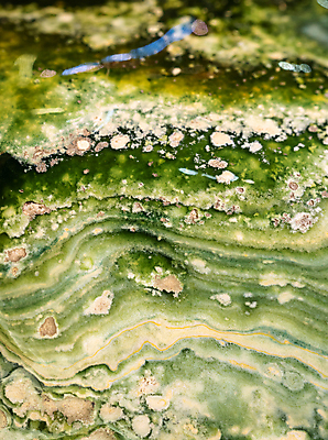 포토 JPG 해외이미지 식물 조각 과학 백그라운드 패턴 자연 벽지 추상 미술 사람없음 치료 초록색 빛 컬러풀 노란색 크리스탈 보석 자르기 유기농 질감 내추럴 그런지 지질학 세련 해외202008 해외포토 웰빙 교육 컬러 무늬 의학 모션 문화예술 광석 생태계 파일형식