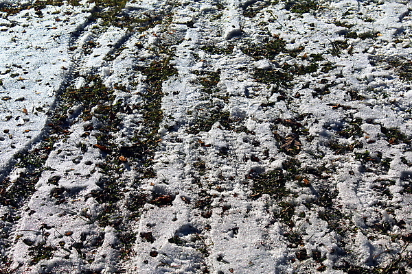 포토 JPG 해외이미지 겨울 자연 날씨 사람없음 물 자전거 냉동 흙 산책로 흰색 바퀴 서리 타이어 층 땅바닥 선로 해외202008 해외포토 자연요소 계절 길 컬러 바닥 바이크 생태계 파일형식