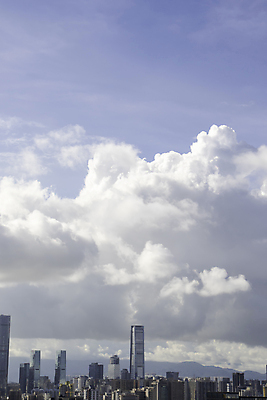 포토 JPG 해외이미지 나무 구름 실루엣 오렌지 자연 하늘 풍경 사람없음 빨간색 물 파란색 빛 강 태양 일출 황혼 일몰 도시 야간 저녁 시드니 스카이라인 수평선 해외202008 해외포토 자연요소 식물 컬러 과일 촬영기법 노을 호주 생태계 파일형식