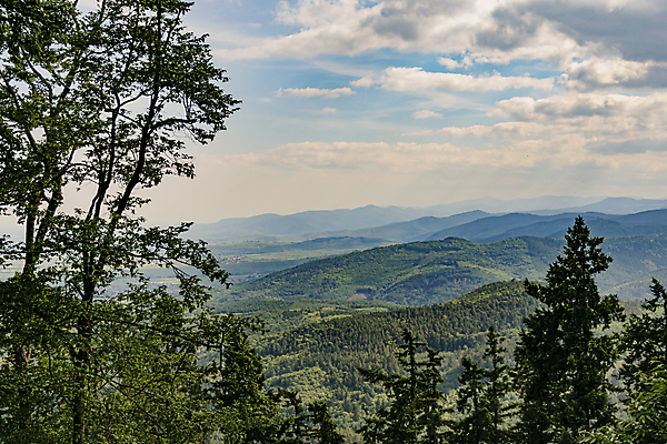 포토 JPG 해외이미지 나무 구름 유럽 도로 여행 백그라운드 자연 하늘 산 안테나 풍경 사람없음 야외 초록색 여름 파란색 빛 햇빛 태양 계곡 프랑스 시골 정상 숲 언덕 장면 내추럴 해외202008 해외포토 자연요소 식물 계절 나라 길 컬러 통신 교통시설 생태계 파일형식