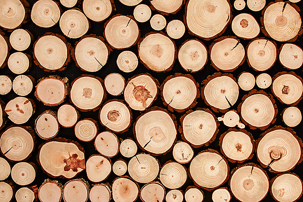 포토 JPG 해외이미지 나무 디자인 산업 벽 조각 백그라운드 패턴 자연 표면 추상 사람없음 목재 장식 갈색 쌓기 에너지 시골 소나무 원형 그룹 주식 숲 장작 자르기 천 묘사 오브젝트 벽난로 질감 통나무 잡동사니 내추럴 생태학 수목 옛날 줄서기 많음 해외202008 해외포토 도형 식물 교육 컬러 컨셉 무늬 재료 모션 금융 직물 생태계 파일형식