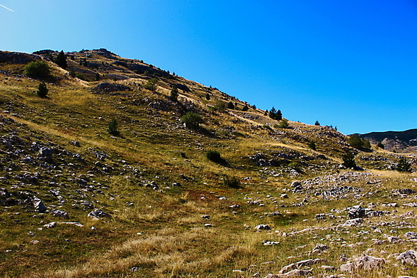 포토 JPG 해외이미지 나무 식물 여행 백그라운드 밭 자연 벽지 하늘 산 파노라마 풍경 초원 사람없음 파란색 환경 맑음 하이킹 가을 흰색 언덕 내추럴 옛날 울퉁불퉁 웅장함 해외202008 해외포토 계절 컬러 농업 레저 날씨 촬영기법 생태계 파일형식
