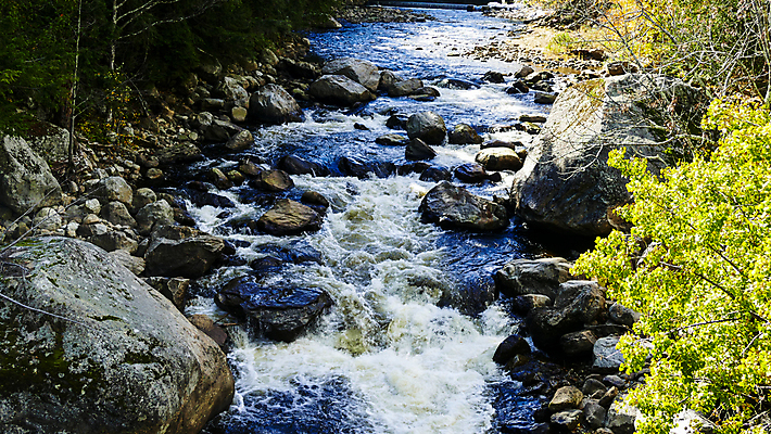 포토 JPG 해외이미지 나무 여행 백그라운드 이동 잎 모션 자연 풍경 사람없음 야외 목재 초록색 물 파란색 강 반사 평화 침묵 하이킹 흐름 가을 바위 신선 개울 고독 숲 암초 내추럴 화강암 해외202008 해외포토 자연요소 식물 계절 감정 컬러 컨셉 재료 레저 소리 암석 돌_바위 생태계 파일형식