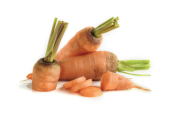 포토 JPG 해외이미지 1 패턴 토마토 채소 과일 재료 자연 벽지 건강 사람없음 빨간색 초록색 빛 농작물 노란색 쌓기 수확 흰색 신선 체리 그룹 시장 달콤 작음 자르기 먹기 오브젝트 싱글 유기농 질감 날것 광택 흙더미 고립 숙성 채식주의자 많음 카피스페이스 비건 해외202008 해외포토 웰빙 컬러 컨셉 무늬 농업 모션 흙 공백 맛 크기 생태계 채식 파일형식 더미