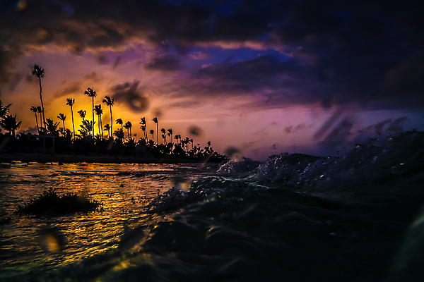 포토 JPG 해외이미지 나무 구름 실루엣 모래 바다 섬 여행 백그라운드 자연 하늘 아침 휴가 휴식 파노라마 손바닥 사람 풍경 사람없음 야외 물 여름 파란색 햇빛 태양 걷기 일출 맑음 일몰 휴양지 내추럴 도미니카공화국 이국적 파라다이스 수평선 해외202008 해외포토 주간 자연요소 식물 손 계절 컬러 컨셉 모션 날씨 촬영기법 노을 장소 남아메리카 생태계 파일형식