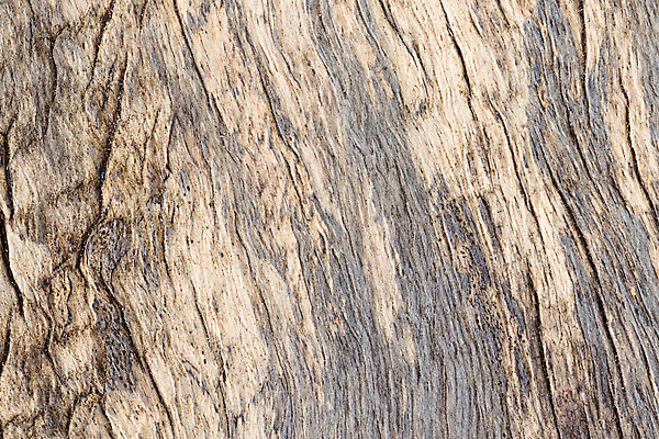 포토 JPG 해외이미지 나무 식물 디자인 벽 가구 백그라운드 패턴 곡선 자연 벽지 표면 추상 바닥 주택 사람없음 목재 장식 빨간색 갈색 줄무늬 수확 소나무 판넬 거친 균열 묘사 질감 복고 통나무 먼지 잡동사니 거짓 수목 엘리먼트 옛날 해외202008 해외포토 선 컬러 생활용품 무늬 농업 재료 모션 건물 생태계 파일형식