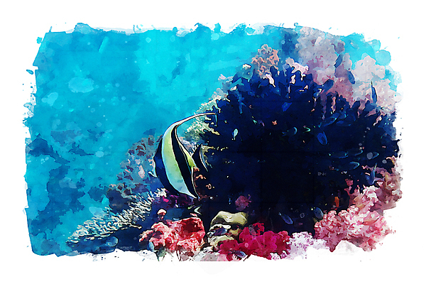 포토 JPG 해외이미지 동물 바다 일러스트 자연 수채화 사람없음 그림 섞기 해외202008 해외포토 생태계 파일형식