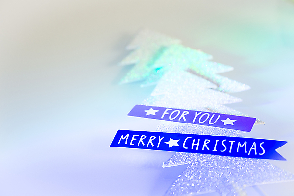 포토 JPG 해외이미지 나무 디자인 배너 계절 행복 리본 백그라운드 크리스마스 겨울 일러스트 캘리그라피 텍스트 휴가 새로움 선물 타이포그라피 사람없음 장식 빨간색 파란색 빛 파티 축제 수확 흰색 축하 인사 신용카드 12월 연도 초대 해외202008 해외포토 식물 문자 기념일 감정 컬러 컨셉 농업 이벤트 금융 예절 날짜 파일형식