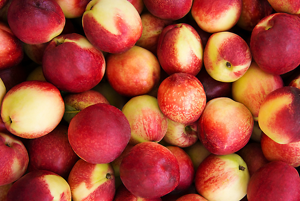 포토 JPG 해외이미지 라이프스타일 계절 음식 백그라운드 패턴 농업 다이어트 채소 과일 프레임 건강 사람없음 야외 빨간색 컬러풀 농장 노란색 쌓기 식사 수확 신선 그룹 시장 달콤 상품 지중해 먹기 오브젝트 유기농 생태계 복숭아 슈퍼마켓 내추럴 매각 밭일 생태학 숙성 채식주의자 해외202008 해외포토 웰빙 교육 산업 바다 컬러 무늬 모션 생활 상점 맛 채식 파일형식