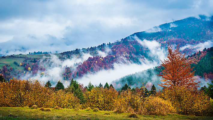 포토 JPG 해외이미지 나무 식물 계절 자연 벽지 하늘 산 파노라마 풍경 초원 사람없음 야외 파란색 컬러풀 환경 계곡 안개 가을 시골 숲 언덕 뿌연 해외202008 해외포토 컬러 날씨 촬영기법 생태계 파일형식