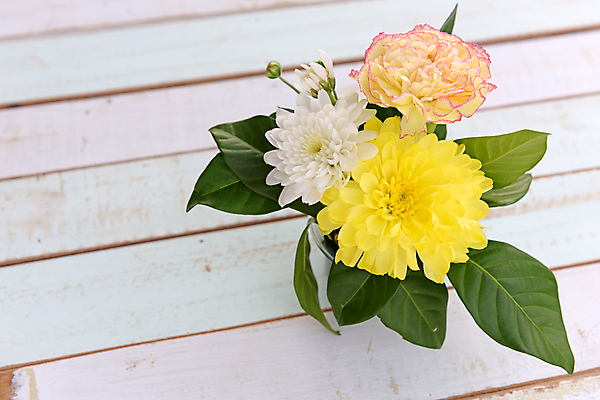 포토 JPG 해외이미지 식물 디자인 계절 꽃잎 꽃 분홍색 꽃다발 백그라운드 컨셉 잎 꽃무늬 자연 탁자 프레임 국화 사람없음 목재 장식 초록색 여름 빛 노란색 우주 봄 수확 벚꽃 가을 흰색 시골 신선 질감 복고 내추럴 구성 그런지 엘리먼트 옛날 해외202008 해외포토 나무 컬러 가구 무늬 농업 재료 생태계 파일형식