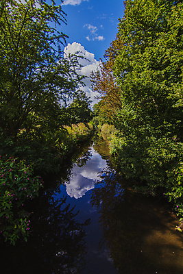 포토 JPG 해외이미지 나무 구름 호수 물결 야생동물 잎 밭 자연 하늘 풍경 사람없음 초록색 물 여름 파란색 강 햇빛 태양 농장 반사 침묵 흰색 시골 개울 볏짚 숲 요크셔테리어 질감 솜털 밀짚 해외202008 해외포토 자연요소 식물 동물 계절 컬러 농업 소리 짚 테리어 생태계 파일형식