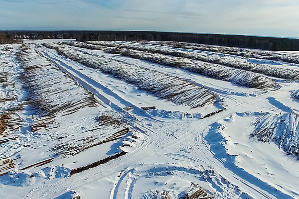 포토 JPG 해외이미지 나무 산업 백그라운드 겨울 자연 사람없음 야외 건물 목재 세일 쌓기 환경 중국 소나무 숲 큼 자르기 목수 유기농 날것 러시아 통나무 나무껍질 수납 자원 잡동사니 땅바닥 벌목 부정부패 생태학 수목 시베리아 해외202008 해외포토 식물 직업 건축물 웰빙 계절 교육 유럽 아시아 재료 모션 바닥 껍질 크기 생태계 파일형식