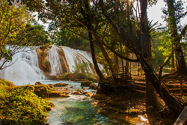 포토 JPG 해외이미지 나무 공원 여행 백그라운드 자연 멕시코 안테나 풍경 사람없음 물 여름 파란색 강 우주 계곡 맑음 놀람 폭포 흐름 개울 황무지 지역 강렬 전국 지질학 파라다이스 힘찬 해외202008 해외포토 자연요소 식물 계절 공공시설 교육 감정 컬러 컨셉 북아메리카 통신 날씨 표정 생태계 파일형식