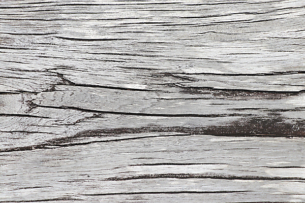 포토 JPG 해외이미지 디자인 외관 벽 백그라운드 패턴 자연 벽지 탁자 표면 날씨 추상 바닥 건조 사람없음 목재 장식 갈색 우주 어둠 줄무늬 수확 골동품 시골 판넬 거친 널 낟알 책상 질감 복고 목공예 내추럴 그런지 수목 옛날 해외202008 해외포토 나무 컬러 가구 무늬 농업 재료 공예 생태계 파일형식