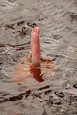 포토 JPG 해외이미지 나무 동물 호수 야생동물 분홍색 여행 백그라운드 포유류 자연 풍경 사람없음 야외 초록색 물 여름 강 머리 환경 수영 나뭇가지 남아메리카 숲 열대우림 돌고래 녹색배경 내추럴 민물 볼리비아 아마존 원정 페루 해외202008 해외포토 자연요소 식물 계절 컬러 아메리카 신체부위 수중동물 수상스포츠 생태계 파일형식