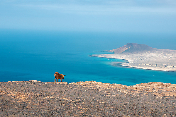 포토 JPG 해외이미지 백인 구름 행복 유럽 바다 섬 여행 배낭 자연 휴가 휴식 안테나 파노라마 풍경 사람없음 여름 여행객 자유 스페인 화산 대서양 마스코트 터키석 해외202008 해외포토 자연요소 서양인 계절 감정 나라 컨셉 가방 통신 산 촬영기법 사람 보석 생태계 파일형식