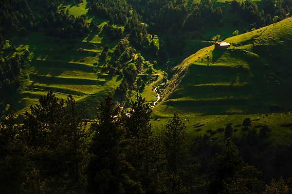 포토 JPG 해외이미지 나무 유럽 밭 자국 휴가 산 파노라마 풍경 경사 초원 사람없음 야외 가로 초록색 여름 강 햇빛 평화 계곡 맑음 침묵 하이킹 시골 소나무 개울 숲 언덕 장면 산악지대 안도라 수평선 해외202008 해외포토 식물 계절 나라 컬러 컨셉 농업 레저 날씨 촬영기법 태양 소리 파일형식