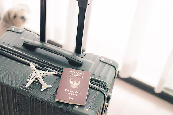 포토 JPG 해외이미지 모델 라이프스타일 옷 행복 여행 백그라운드 컨셉 가방 비즈니스 교통시설 휴가 비행기 항해 사람없음 여름 반려동물 여행객 우주 여행가방 짐 흰색 개 공항 도착 오브젝트 항공 출발 문서 여권 제트기 승객 대패 수하물 해외202008 해외포토 동물 잡화 계절 감정 컬러 교통 배_교통 포유류 항공교통 대중교통 사람 생활 시설 파일형식