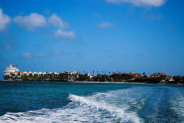 포토 JPG 해외이미지 나무 모래 바다 섬 여행 자연 하늘 휴가 손바닥 풍경 사람없음 야외 물 여름 파란색 야자수 맑음 흰색 휴양지 코코넛 카리브해 이국적 파라다이스 수평선 해외202008 해외포토 자연요소 식물 손 계절 컬러 과일 날씨 장소 생태계 파일형식