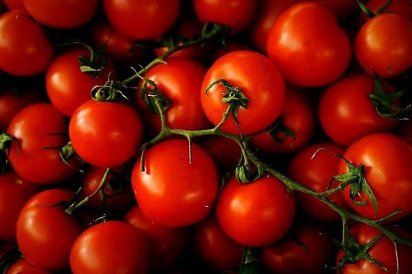 포토 JPG 해외이미지 식물 음식 백그라운드 잎 농업 다이어트 토마토 채소 과일 재료 자연 건강 요리 사람없음 빨간색 초록색 빛 식사 활발 샐러드 성장 흰색 신선 원형 시장 맛 케첩 먹기 오브젝트 싱글 유기농 원예 날것 내추럴 고립 숙성 영양분 채식주의자 맛있는 해외202008 해외포토 도형 웰빙 산업 컬러 컨셉 모션 취미 소스_음식 생태계 채식 파일형식