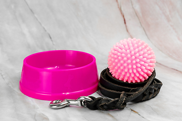 포토 JPG 해외이미지 동물 라이프스타일 디자인 음식 백그라운드 컨셉 장신구 공 놀이 사람없음 파란색 반려동물 세트 장난감 상점 고양이 장비 도구 공구 고리 그룹 사발 개 강아지 보호 상품 정상 먹이 플라스틱 가죽 오브젝트 고무 송곳니 돌봄 스타일 카피스페이스 해외202008 해외포토 컬러 포유류 모션 재질 생활 공백 사기그릇 치아 파일형식