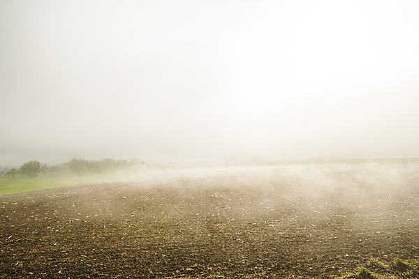 포토 JPG 해외이미지 나무 계절 단풍 날씨 독일 초원 사람없음 컬러풀 낭만 젖음 안개 가을 흰색 신비 해외202008 해외포토 식물 유럽 컬러 컨셉 잎 파일형식