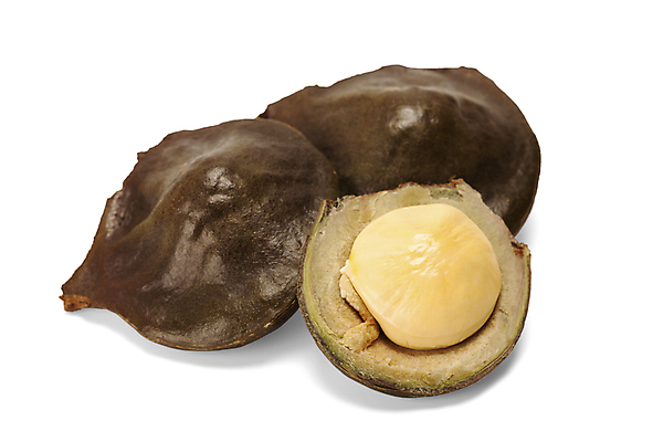 포토 JPG 해외이미지 나무 식물 전통 열매 아시아 길 음식 백그라운드 채소 과일 태국 자연 콩 건강 씨앗 사람없음 갈색 매트 신선 닫기 먹기 허브 오브젝트 남쪽 내추럴 바이오 식용 채식주의자 비건 맛있는 해외202008 해외포토 나라 컬러 모션 곡류 방향 생태계 채식 파일형식