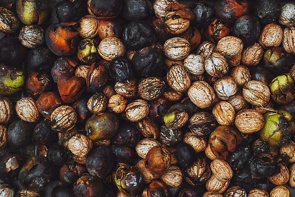 포토 JPG 해외이미지 아시아 음식 오렌지 과일 재료 거리 건조 건강 씨앗 사람없음 가로 갈색 노란색 판매 바구니 상점 견과류 신선 날짜 시장 상품 인도인 굽기 허브 향신료 날것 땅콩 호두 아몬드 동쪽 모로코 흙더미 건포도 채식주의자 캐슈넛 피칸 개암 바삭바삭 해외202008 깎기 해외포토 외국인 식물 열매 나라 컬러 컨셉 모션 아프리카 포도 동양인 흙 구이 방향 채식 건과일 향미료 파일형식 더미