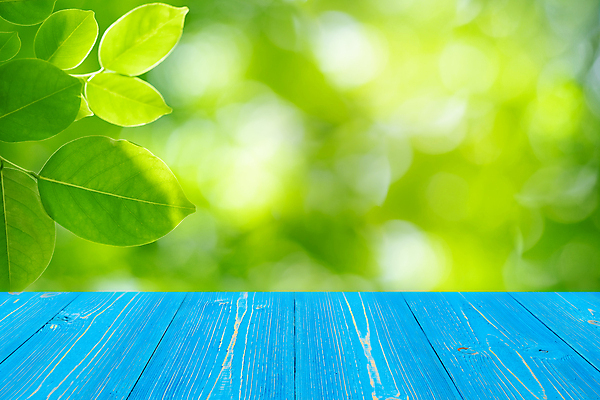 포토 JPG 해외이미지 나무 템플릿 디자인 공원 포스터 백그라운드 잎 자연 탁자 표면 추상 사람없음 야외 목재 장식 초록색 여름 빛 우주 정원 맑음 봄 공백 흰색 시골 신선 널 상품 정상 소프트포커스 갑판 계산대 책상 레이아웃 복고 보케 내추럴 블러 옛날 해외202008 해외포토 식물 계절 공공시설 컬러 가구 무늬 배_교통 재료 날씨 촬영기법 생태계 파일형식