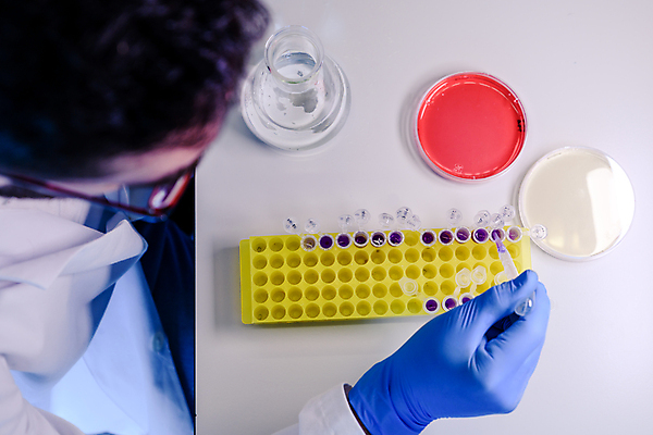 포토 JPG 해외이미지 남자 실험기구 한명 들기 성인 하이앵글 성인남자한명만 안경낌 신약개발 해외202008 해외포토 1 안경 뷰포인트 과학 모션 사람 개발 남자한명만 성인남자만 파일형식 신약_의학
