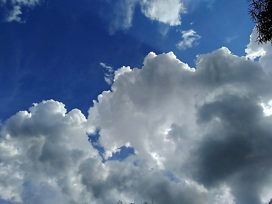 포토 JPG 해외이미지 구름 백그라운드 겨울 패턴 자연 벽지 하늘 날씨 파노라마 풍경 사람없음 야외 여름 파란색 빛 햇빛 우주 환경 맑음 봄 가을 흰색 투명 분위기 장면 천국 솜털 스카이라인 내추럴 수평선 해외202008 해외포토 자연요소 계절 컬러 컨셉 무늬 촬영기법 태양 생태계 파일형식