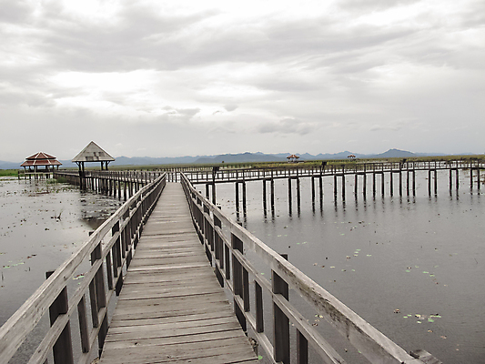 포토 JPG 해외이미지 나무 식물 구름 전통 공원 길 호수 여행 백그라운드 잎 패턴 태국 자연 벽지 하늘 휴식 산 풍경 사람없음 야외 목재 초록색 물 여름 파란색 빛 강 태양 여행객 환경 맑음 산책 성장 숲 장면 내추럴 옛날 전국 해외202008 해외포토 자연요소 계절 공공시설 아시아 컬러 컨셉 무늬 재료 날씨 사람 생태계 파일형식