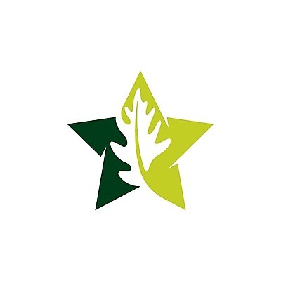 EPS 해외이미지 무료이미지 별 일러스트 나뭇잎 사람없음 에코 해외202008 해외202105 해외일러스트 자연요소 잎 환경 파일형식 벡터