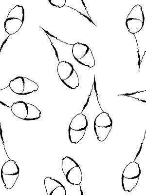 EPS 해외이미지 계절 포스터 백그라운드 패턴 일러스트 미술 검은색 가을 흰색 낙서 인쇄 그림 도토리 해외202008 해외일러스트 컬러 무늬 문화예술 견과류 파일형식 벡터