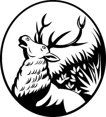 EPS 해외이미지 디자인 상징 일러스트 사슴 흑백 미술 그래픽 수확 숲 향수 복고 과거 마스코트 회복 스타일 반추동물 해외202008 해외일러스트 컨셉 농업 포유류 문화예술 촬영기법 화장품 파일형식 벡터