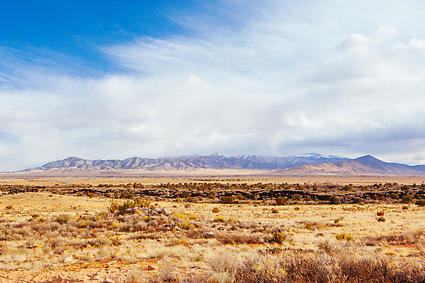 포토 JPG 해외이미지 나무 모래 여행 겨울 오렌지 산 풍경 사람없음 빨간색 태양 맑음 미국 일몰 추위 관목 언덕 뉴멕시코 부족함 해외202008 해외포토 자연요소 식물 계절 컬러 컨셉 북아메리카 과일 날씨 노을 파일형식