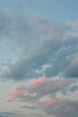 포토 JPG 해외이미지 구름 백그라운드 자연 하늘 날씨 추상 풍경 사람없음 여름 파란색 빛 컬러풀 햇빛 일출 침묵 황혼 일몰 야간 저녁 장면 바닐라 해외202008 해외포토 자연요소 계절 컬러 무늬 태양 노을 소리 생태계 파일형식