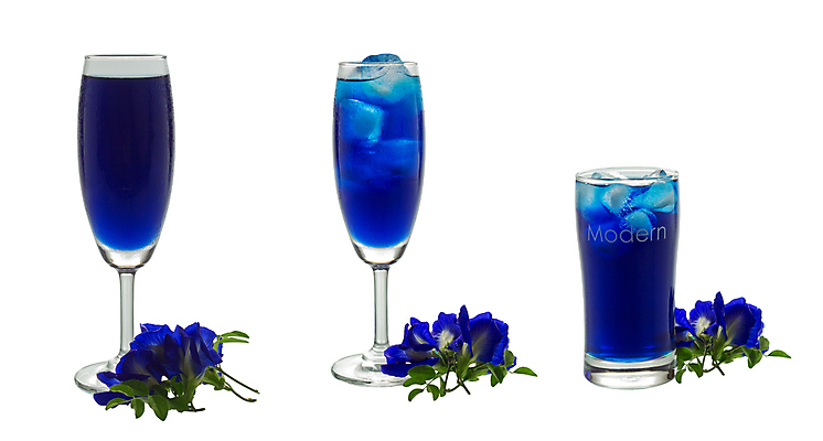 포토 JPG 해외이미지 식물 꽃 음료 백그라운드 자연 유리 건강 사람없음 물 파란색 추위 흰색 신선 허브 상쾌 해외202008 해외포토 자연요소 감정 컬러 재질 생태계 파일형식