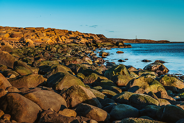 포토 JPG 해외이미지 동물 구름 파도 바다 섬 여행 자연 하늘 바람 노르웨이 풍경 사람없음 물 여름 파란색 빛 햇빛 태양 일몰 활발 바위 저녁 암초 덩어리 스칸디나비아 해외202008 해외포토 자연요소 계절 유럽 컬러 컨셉 날씨 노을 돌_바위 야간 생태계 파일형식