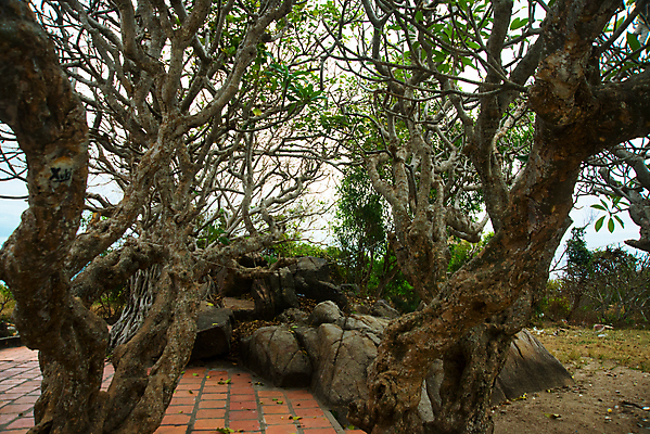 포토 JPG 해외이미지 아시아 종교 문화 조각 여행 불교 건축양식 프레임 미술 미소 동양인 사람없음 야외 조각상 평화 침묵 흰색 잠 사찰 영혼 역사 큼 명상 시력 베트남 위치 신성 수도원 목각 거짓말 보호구역 순례 신앙심 인도차이나반도 해외202008 해외포토 건축 나라 컬러 컨셉 종교건축 문화예술 표정 인종 조형물 동남아시아 소리 크기 구역 파일형식