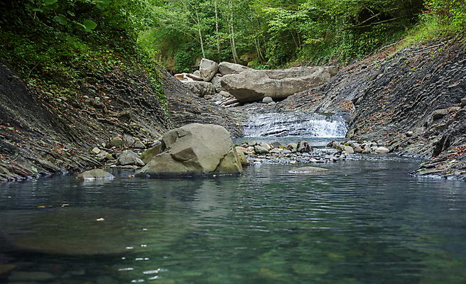 포토 JPG 해외이미지 나무 식물 자연 산 풍경 사람없음 물 여름 강 바위 침대 숲 해외202008 해외포토 자연요소 계절 가구 돌_바위 생태계 파일형식